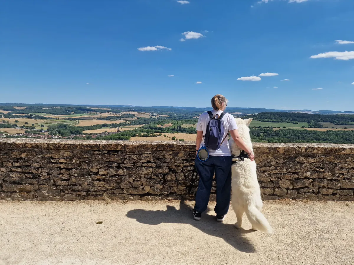 Socialisation et éducation bienveillante du chien de famille